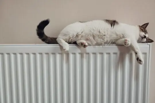 Five Benefits of Insulating Your Home