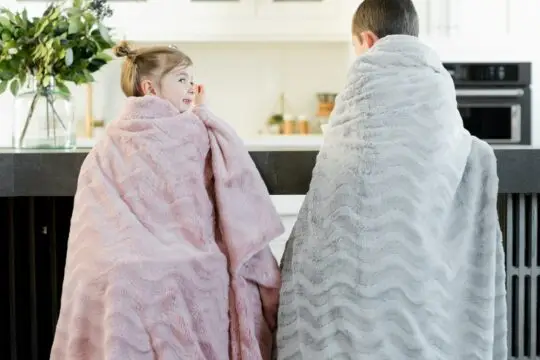 How Electric Storage Heaters Can Help You This Winter 
