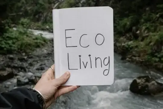 Energy-Efficient Homes: A Guide To Sustainable Living