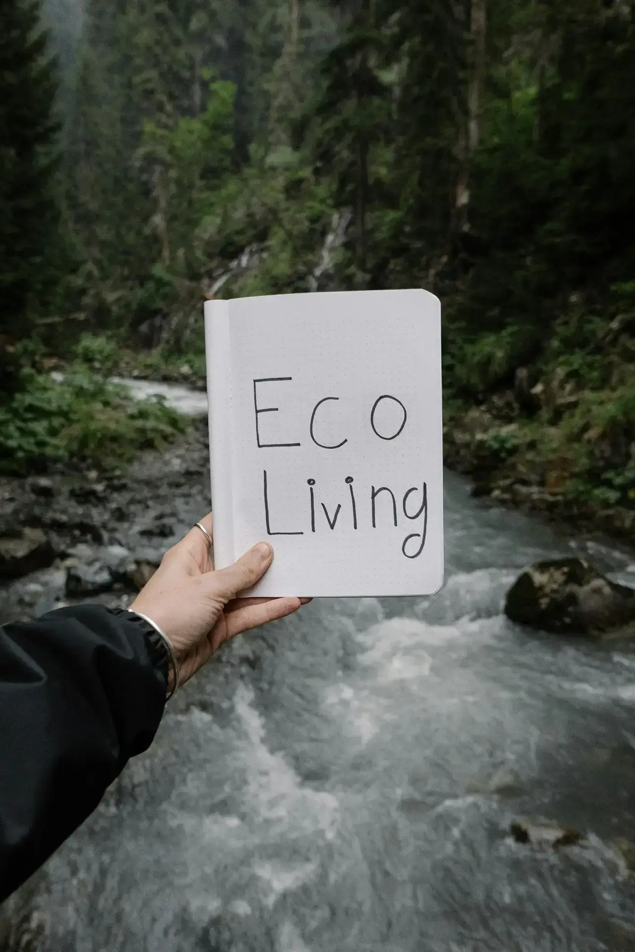 Energy-Efficient Homes: A Guide To Sustainable Living