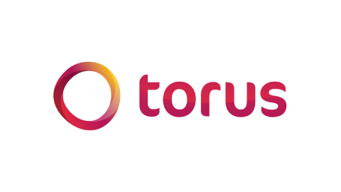 Torus logo.